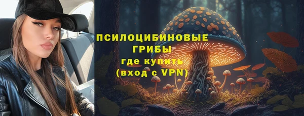 прущий лед Алексеевка