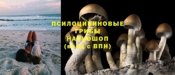 прущий лед Алексеевка